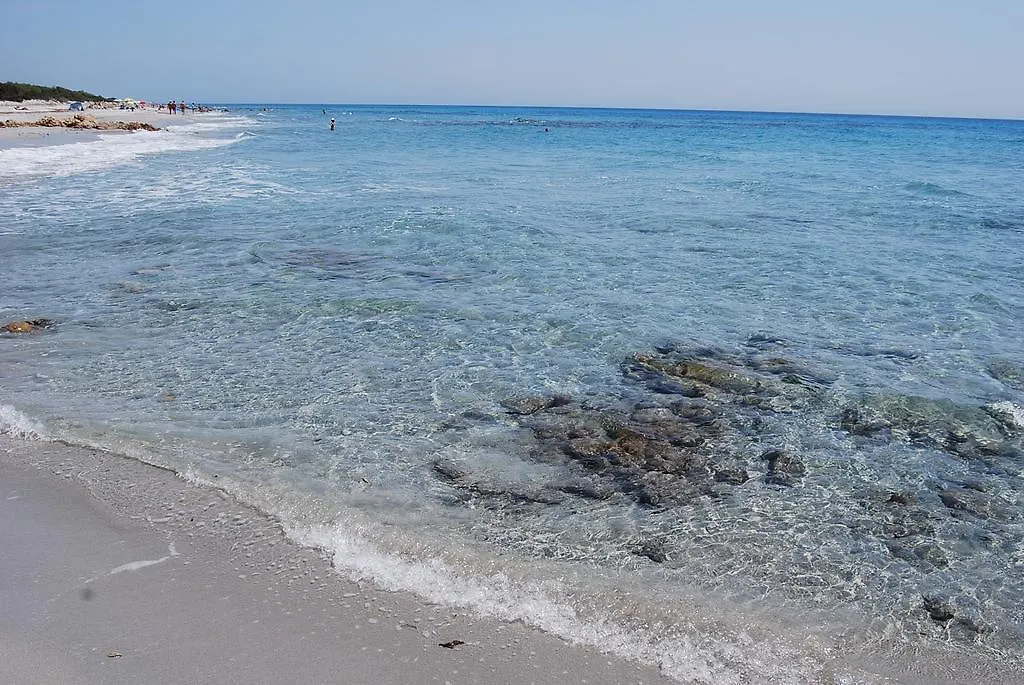 Il Mirto Di Paola Bed & Breakfast Torpe